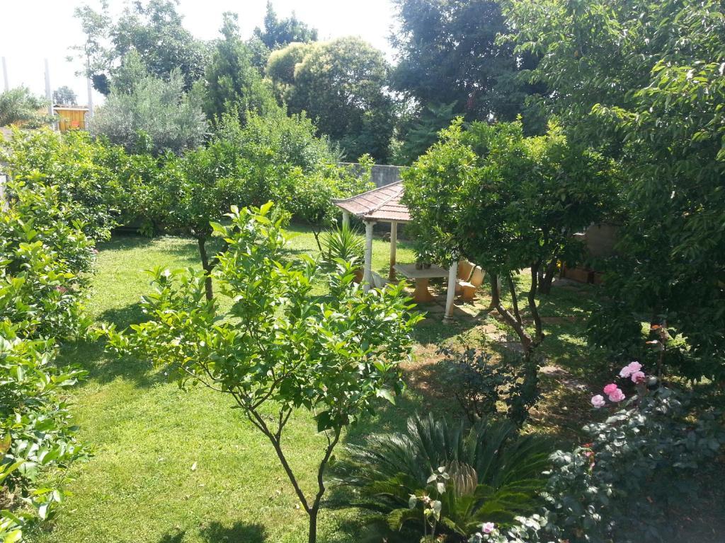 Hotel Capys Capua Εξωτερικό φωτογραφία